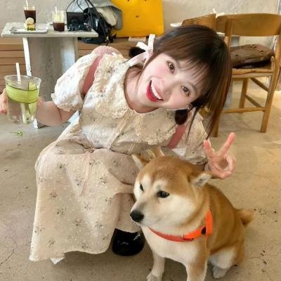 冷静，叔比狗!