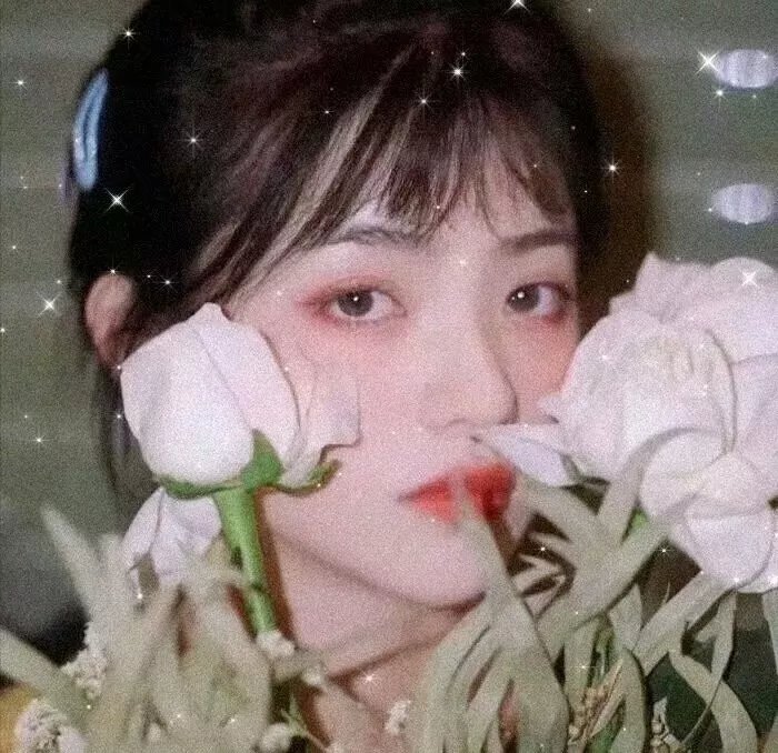 我的鲛人弟弟